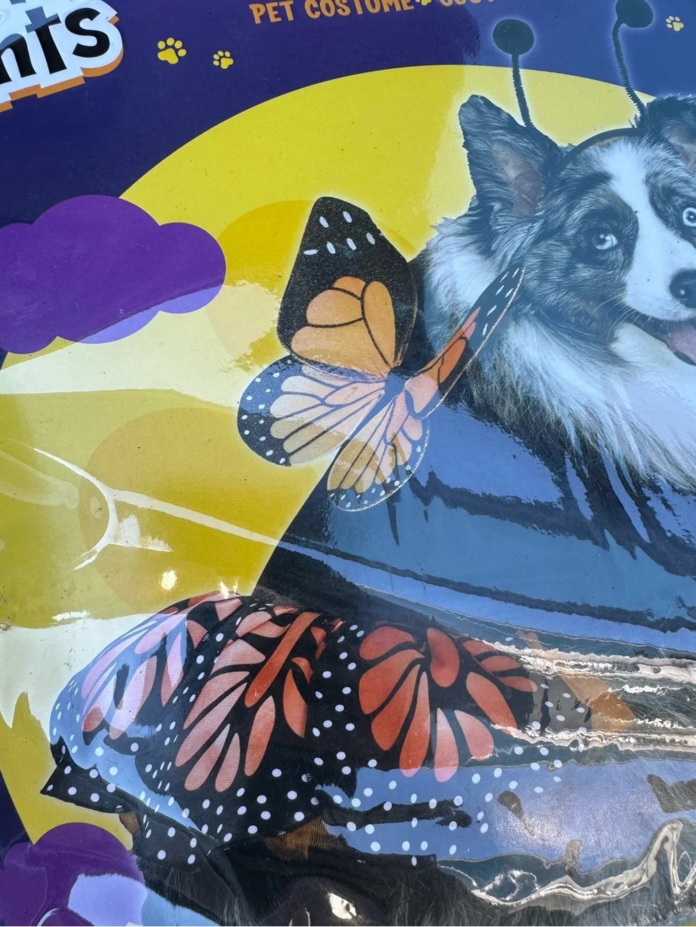 Paw Prints Fun World Butterfly Pet Costume Monarch Wings Headband Size Small